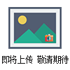 DZ-320全自動(dòng)拉伸膜包裝機(jī)